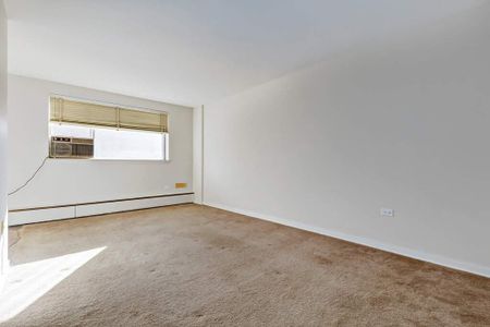 Renovated Suite - 1 Bedroom - Photo 2
