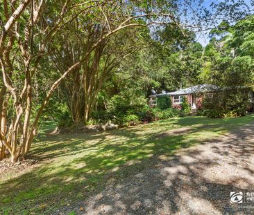 205 Ripps Road, 2484, Stokers Siding Nsw - Photo 2