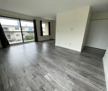 Newer Renovation 1 Bedroom Apartment - Photo 2