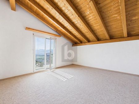 PANORAMA VISION - Photo 4