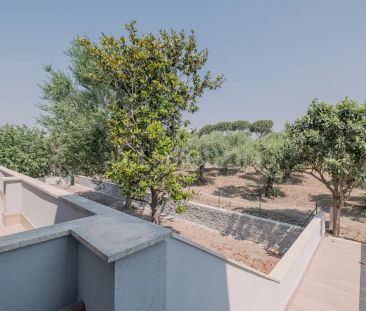 Casa in affitto - Via Andrea Cascella, Roma (rif. 17/2026) - Photo 3