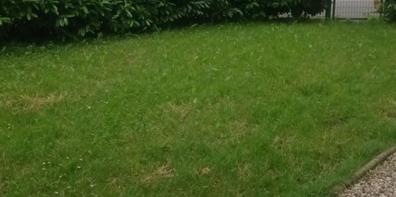 6 Zimmer, 112 m² - Foto 3