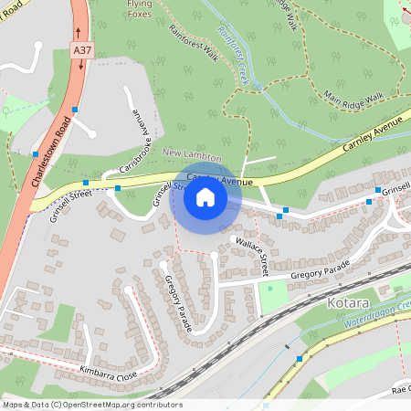 177 Grinsell Street, Kotara