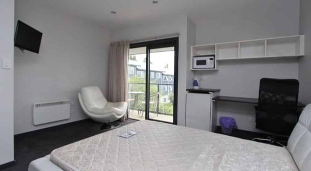 Quiet Executive Studio – Room 4 Available for 2026 - Photo 1