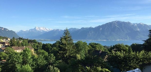 Villa individuelle de 5.5 pièces avec vue imprenable sur le lac Léman et les montagnes situé à côté de la forêt à Blonay - Photo 1