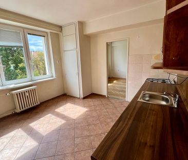 Pronájem bytu 3+kk v osobním vlastnictví 70 m², Pardubice - Fotografie 5