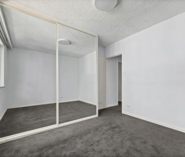 Apartment Oasis! - Photo 3