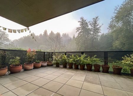 sonnige 2-Zimmerwohnung mit großer Terrasse am Stiftingbach - Foto 4