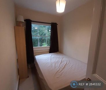 4 bedroom maisonette to rent - Photo 5