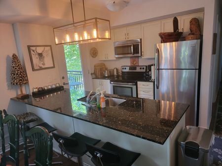 For Lease - 10 Brandy Lane Drive Unit# 208, Collingwood, Ontario - Photo 2