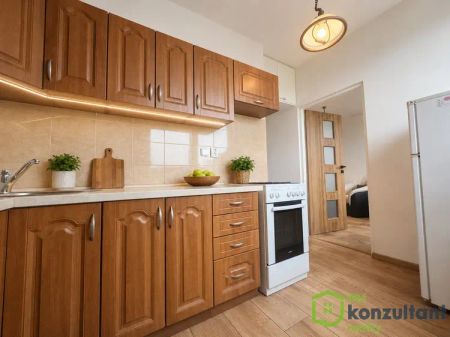 Pronájem krásného bytu 2+1 se zasklenou lodžií po rekonstrukci - Photo 5