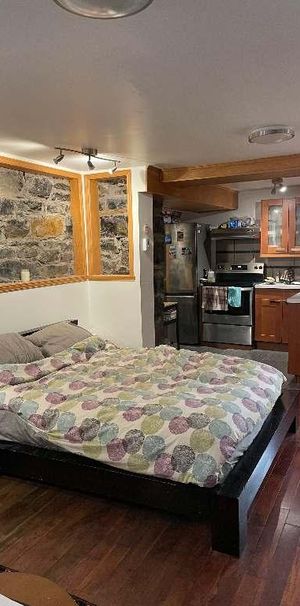 Studio Plateau Mont-Royal Cession de bail Lease transfer Dec 1 - Photo 1