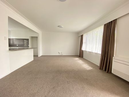 Newly Renovated unit on Rawhiti Road - Photo 4