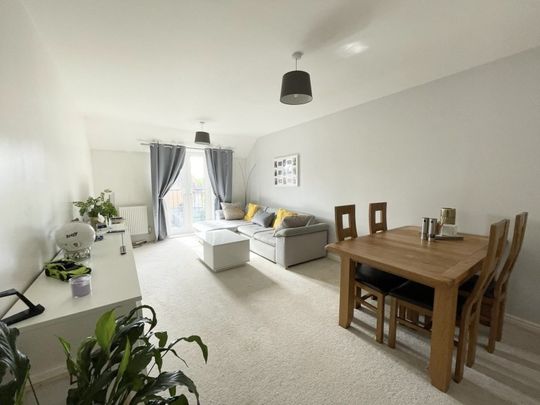 14 Nile Road - Photo 1
