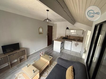Location Appartement 1 pièce 19m² NICE 06000 - Photo 4