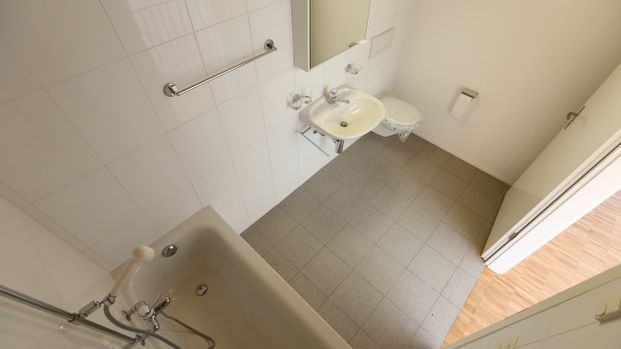 Wohnsiedlung "Obere Widen" im Grünen am Birsufer gelegen - Photo 1