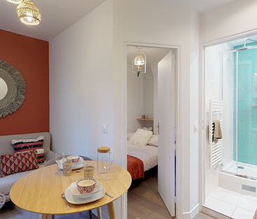 Magnifique T2 de 17,91 m² - Rue Philippe de Girard - Photo 3