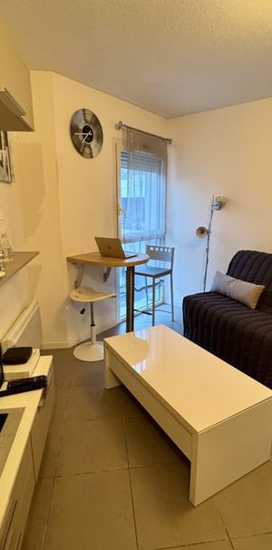 Location Appartement 1 pièce 18m² ALBI 81000 - Photo 1