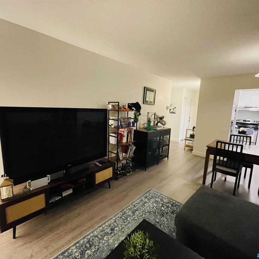 Québec – Cession de bail – Appartement 3 1/2 à louer – 1er mois gratuit – Disponible à partir de février - Photo 1