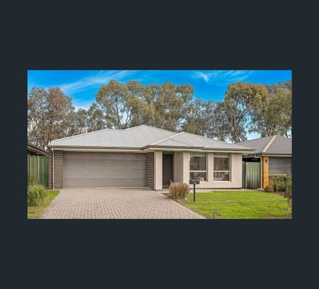 56 Nangari Road, Salisbury North, SA 5108 - Photo 5