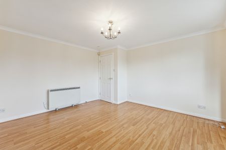 Muirhead Avenue - Photo 2