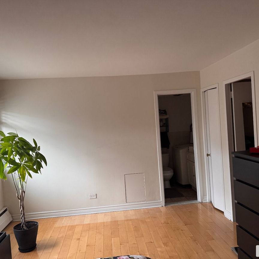 309-5700, Boul. Cavendish, Côte-St-Luc / Hampstead / Montréal-Ouest à louer - Photo 1