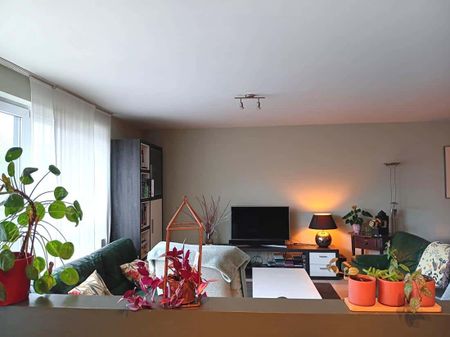 Te Huur-Appartement-Berchem-THN-292 - Foto 2