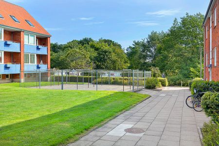 Afd. 16 Rosenvænget 6 - Photo 5