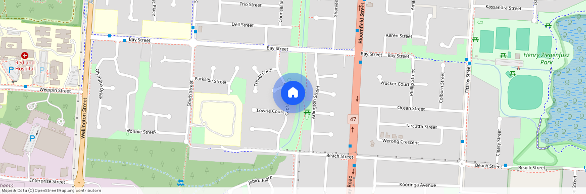 16 Capricorn Drive, Qld 4163, Cleveland