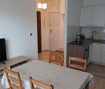 Katowice, Dąb - Photo 2