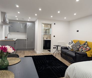 Studio Flat, Wigginton Avenue, HA9 - Photo 2