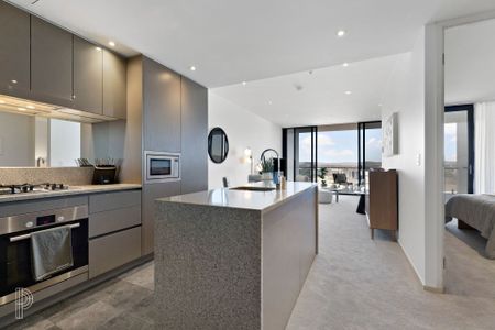 Spacious, light filled living in the heart of Canberra - Photo 4