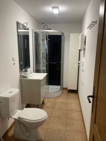 Location Appartement 2 pièces 39m² LE FOUSSERET 31430 - Photo 3