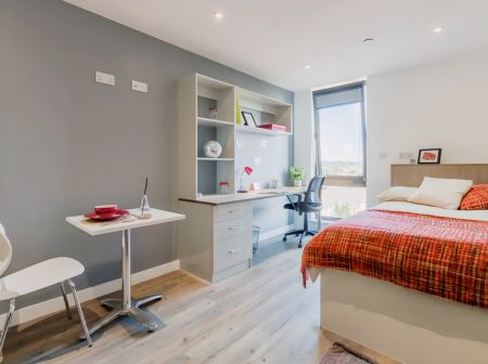Large Premium Studio - Photo 2