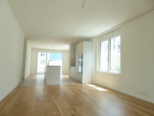 4 1/2-Zimmer-Wohnung - Neubauprojekt "Rheincity" - Photo 1