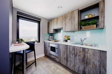 penthouse Studio - Photo 4