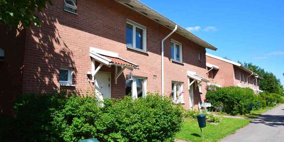 2 RUM KÖK - Photo 3