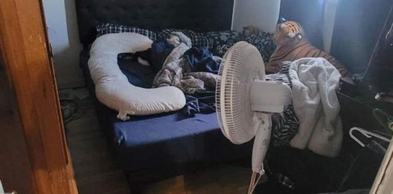 2 CH - 1 SDB - Sainte-Hélène-de-Bagot - $999 /mo - Photo 2