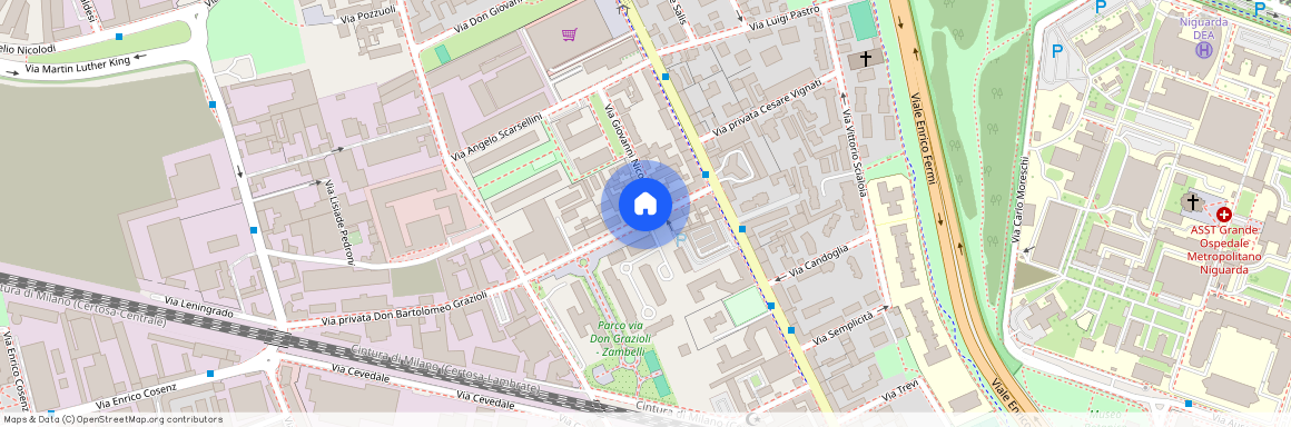 via grazioli, 10, Milano, Lombardy 20161