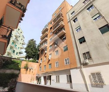 Trilocale in affitto - Photo 3