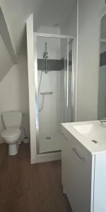 Location Appartement 1 pièce 11m² LAVAL 53000 - Photo 4