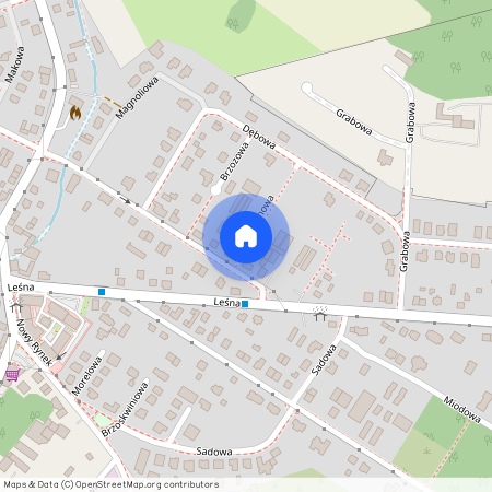 Suchy Las, Suchy Las, poznański, wielkopolskie