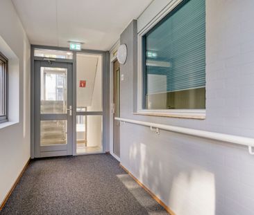 Dellaertlaan 269, Wijkerbaan, 1945WJ, Beverwijk - Foto 2