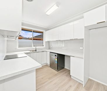 Renovated Two-Bedroom Apartment in Convenient Location - Photo 3