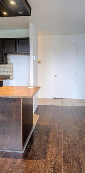 4-1/2 clientèle 50 et plus tranquille belle vue, fraichement peinturer - Photo 1