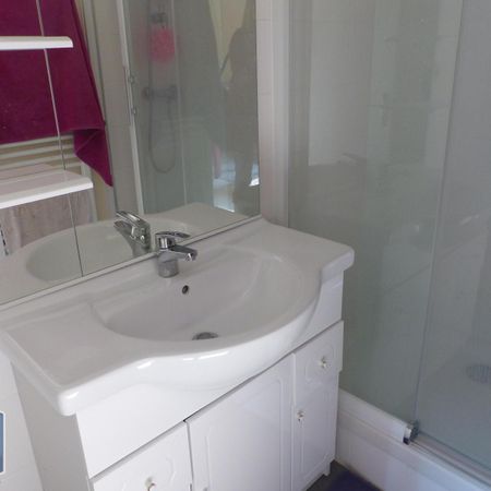 Location Appartement 1 pièce 27m² ANGERS 49100 - Photo 3