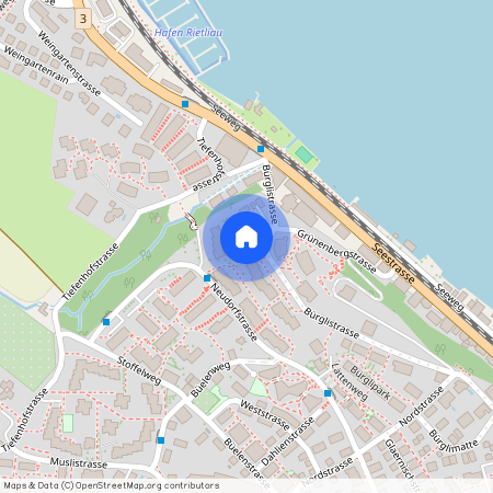 Neudorfstrasse 54, 8820 Wädenswil