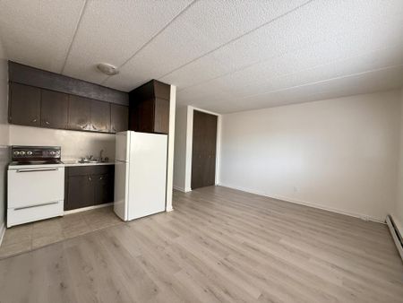 2277 Cornwall St., Regina, Saskatchewan, S4P 2L1 - Photo 4