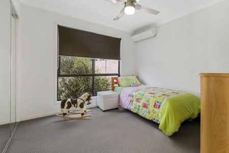 Spacious Noosa Hinterland Acreage Living with Views & Shed - Photo 4