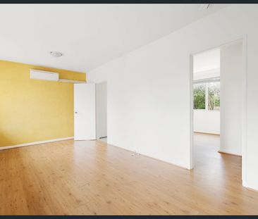 Fantastic Ground Floor Apartment in Prime Elsternwick Location - Photo 2